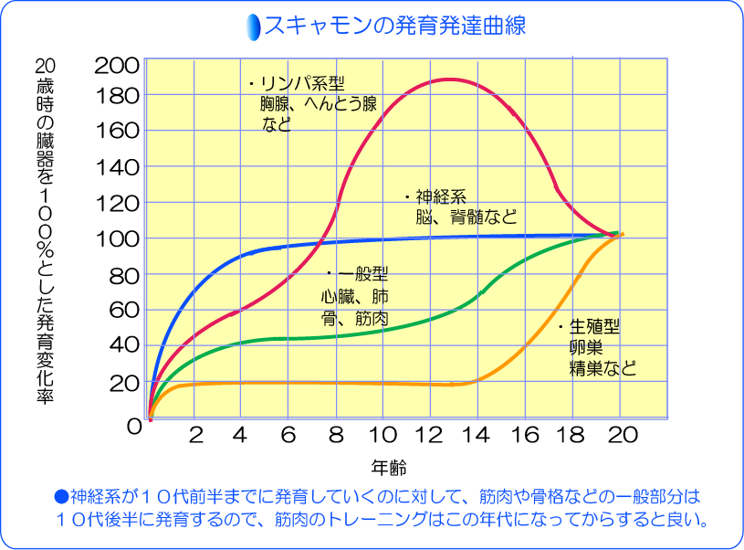 スキャモン発育発達曲線表